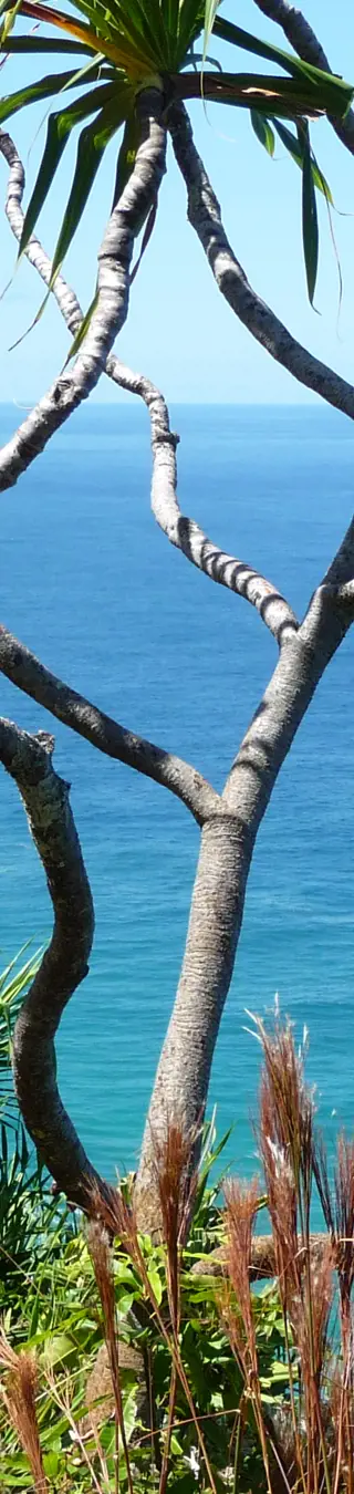 Kauai Island